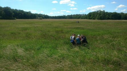 Kartierübungsfläche Ryckniederung