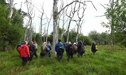 Kartierübungsfläche Jeeser Moor