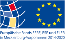 Logo ESF