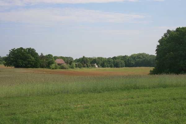 Felder der ortsnahen Teilfläche und angrenzendes Grünland (Birgit Litterski)