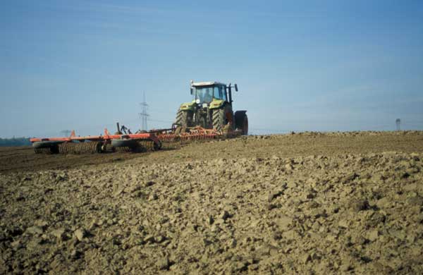 Saatbettbereitung (Birgit Litterski)