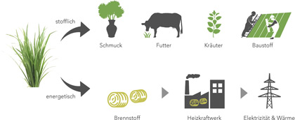 Stoffliche und energetische Rohstoffverwertung